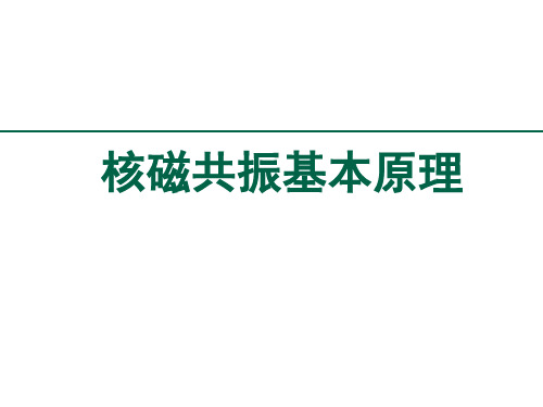 核磁共振基本原理 PPT课件