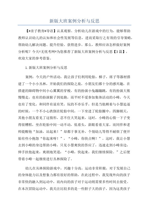 新版大班案例分析与反思