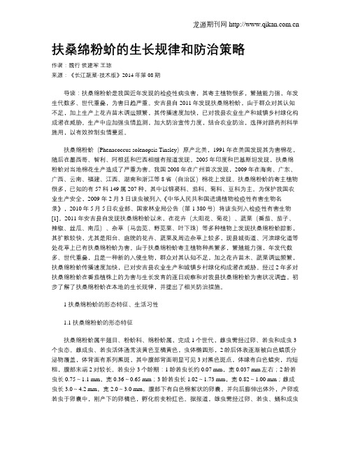 扶桑绵粉蚧的生长规律和防治策略