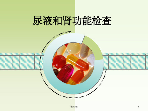 尿液和肾功能检查