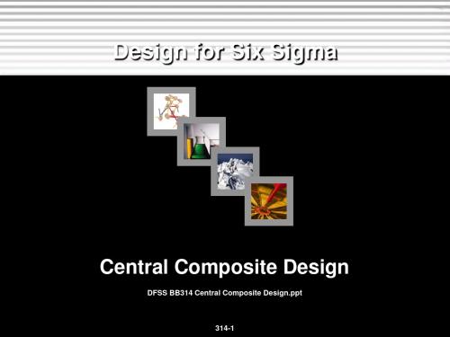 DFSSBB314CentralCompositeDesign 38页PPT文档