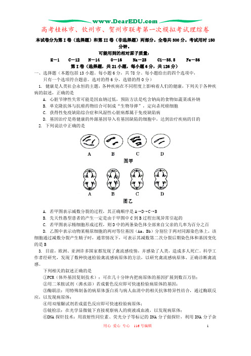 高考桂林市、钦州市、贺州市联考第一次模拟考试理综卷