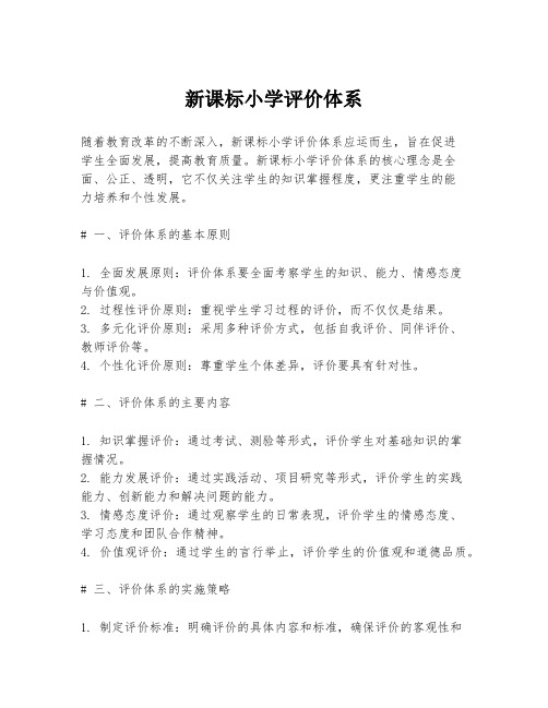 新课标小学评价体系