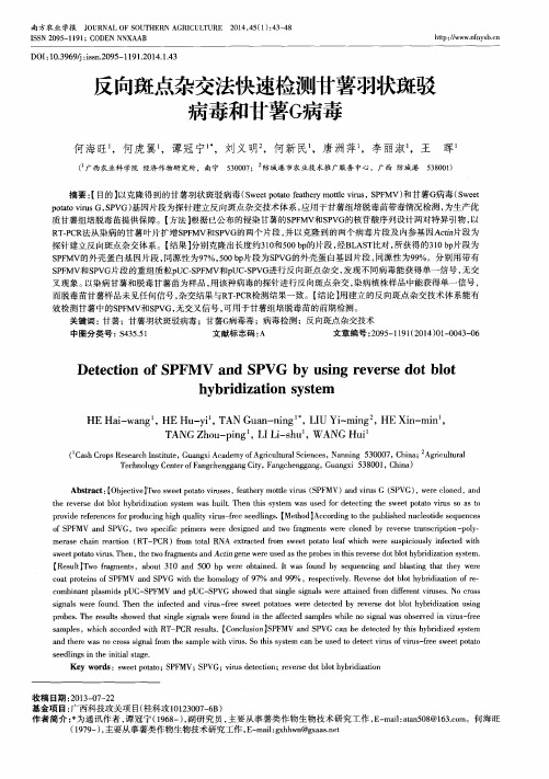 反向斑点杂交法快速检测甘薯羽状斑驳病毒和甘薯G病毒