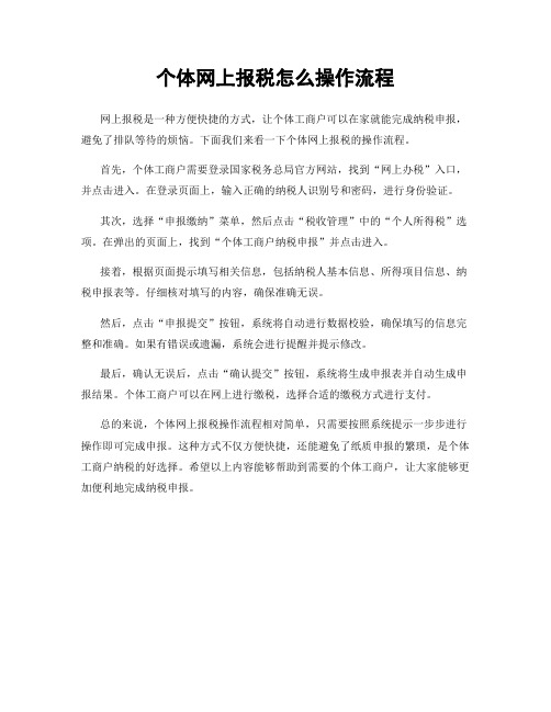 个体网上报税怎么操作流程