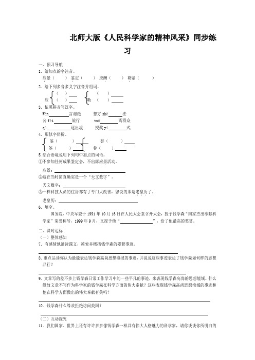 北师大版《人民科学家的精神风采》同步练习