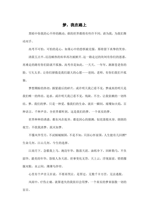 梦,我在路上_高中高二作文600字