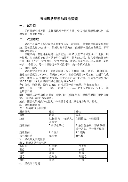 2021年果蝇形态观察实验报告