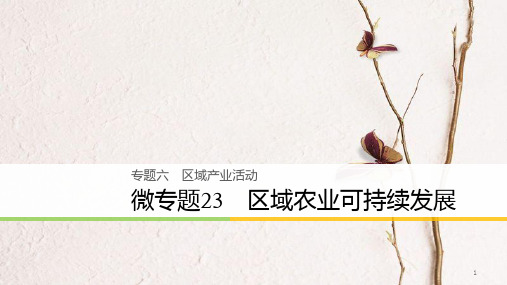 浙江省高考地理二轮复习6区域产业活动微专题23区域农业可持续发展课件