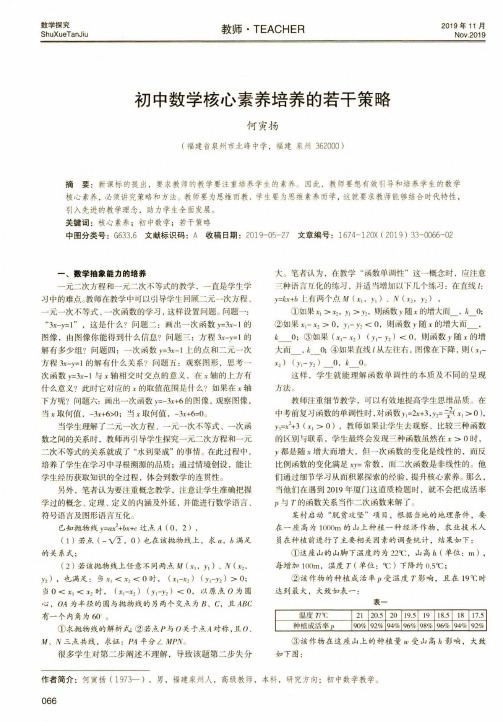 初中数学核心素养培养的若干策略