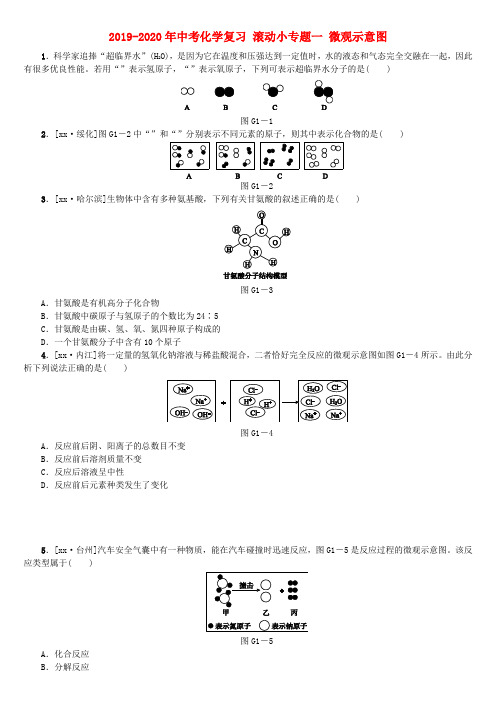 2019-2020年中考化学复习 滚动小专题一 微观示意图