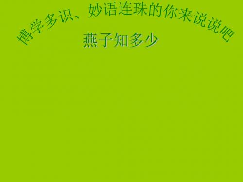 新人教版八年级语文下册：9海燕 课件(共29张PPT)