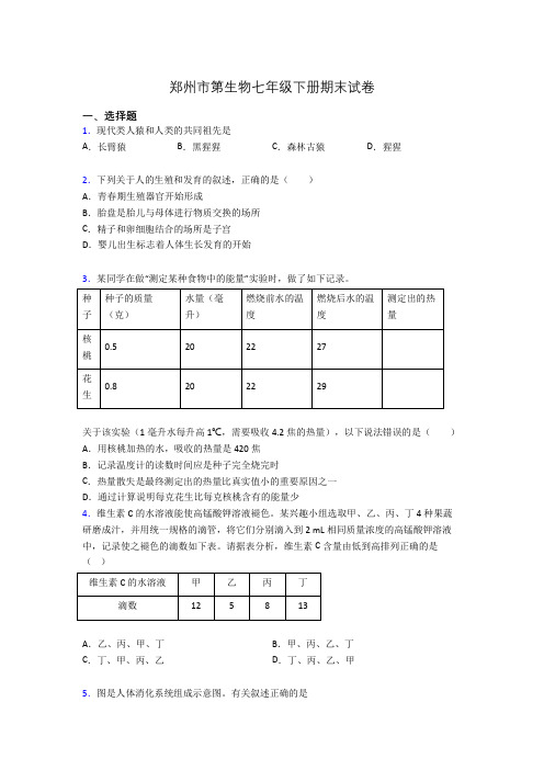 郑州市第生物七年级下册期末试卷