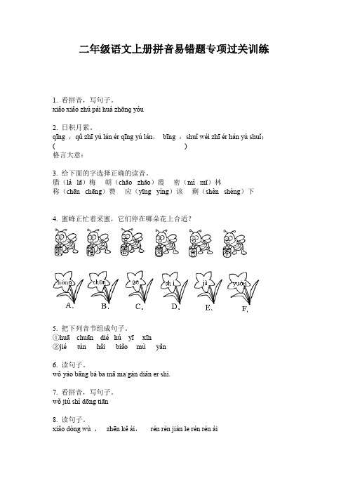 二年级语文上册拼音易错题专项过关训练