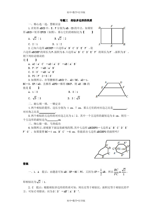 北师大版-数学-八年级下册--单元复习-专题三 相似多边形的性质