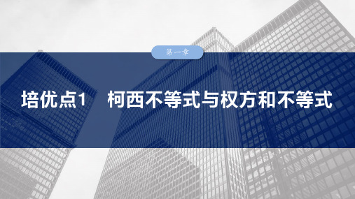 高中数学总复习 培优点1 柯西不等式与权方和不等式