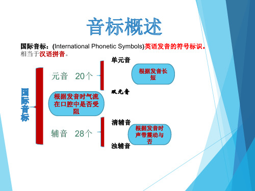 音标对应单词和句子练习(25张)