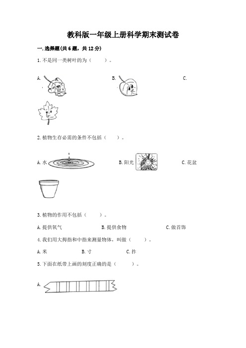 教科版一年级上册科学期末测试卷含答案(综合卷)