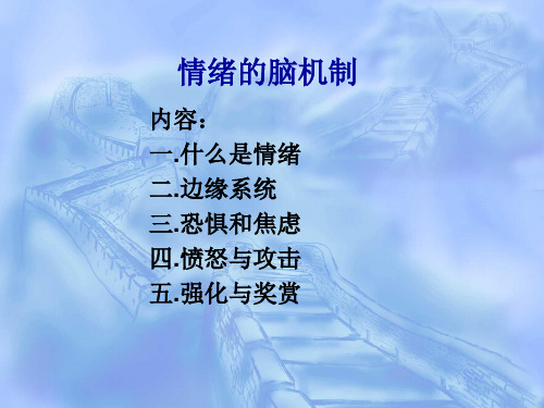 情绪的脑机制.ppt