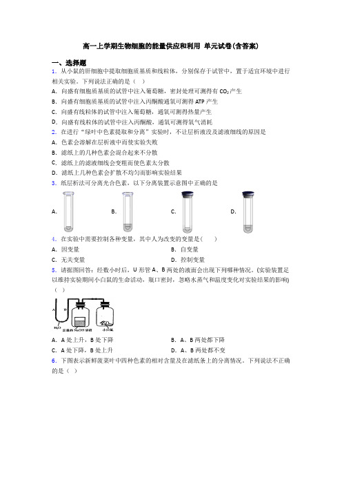 高一上学期生物细胞的能量供应和利用 单元试卷(含答案)