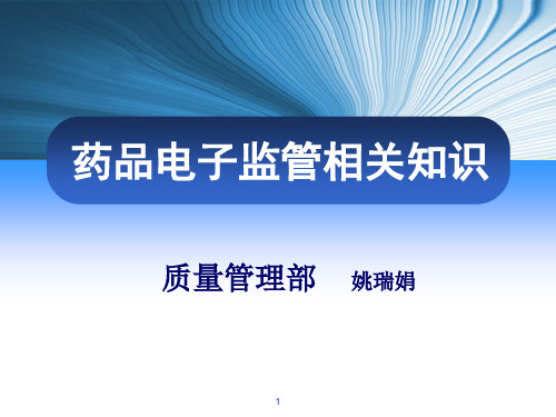 电子监管相关知识培训PPT资料36页