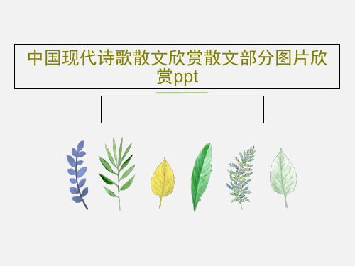 中国现代诗歌散文欣赏散文部分图片欣赏ppt82页PPT