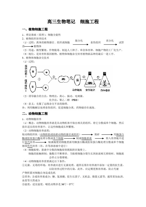 高三生物笔记  细胞工程