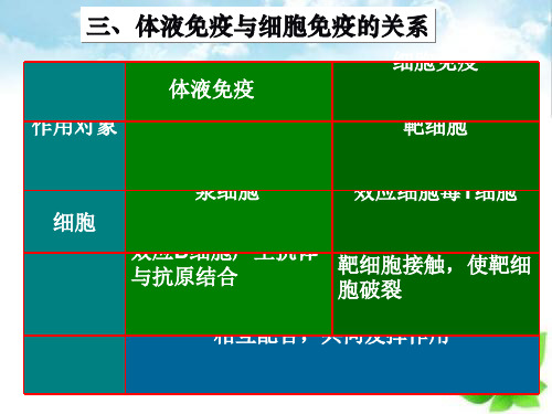 免疫失调引起的疾病ppt课件(自制)