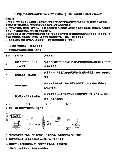 广西钦州市浦北县浦北中学2025届化学高三第一学期期中检测模拟试题含解析