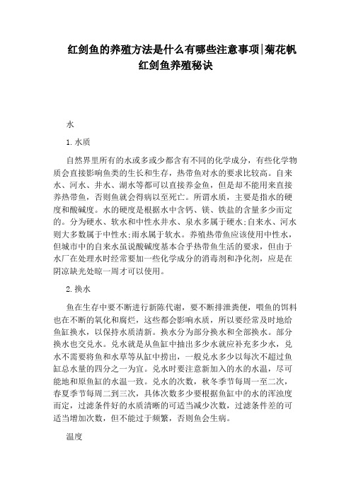 红剑鱼的养殖方法是什么有哪些注意事项：菊花帆红剑鱼养殖秘诀