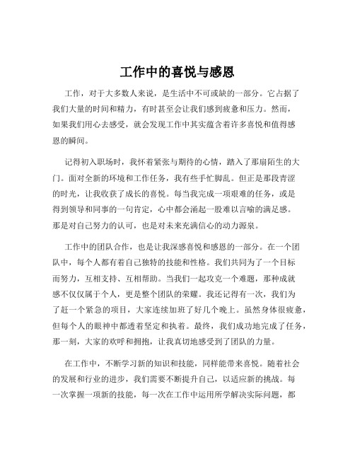 工作中的喜悦与感恩