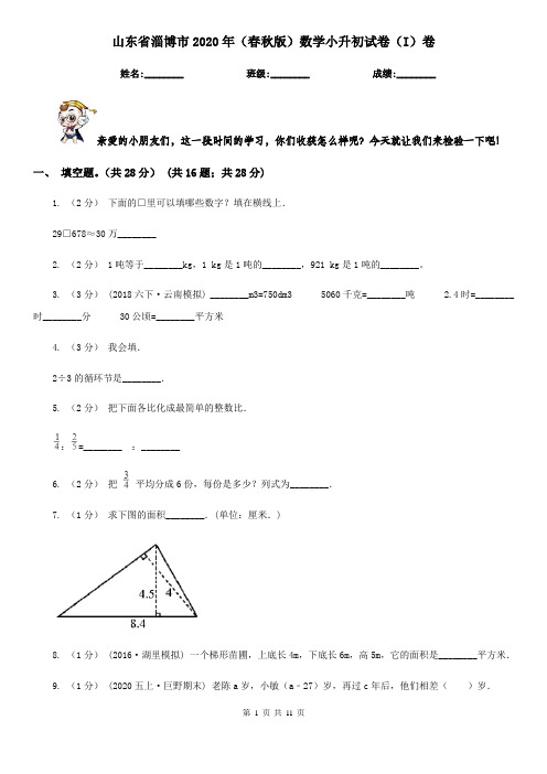 山东省淄博市2020年(春秋版)数学小升初试卷(I)卷