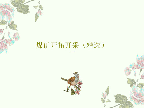 煤矿开拓开采(精选)PPT142页