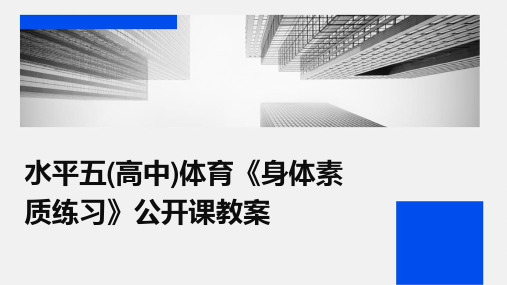 水平五(高中)体育《身体素质练习》公开课教案