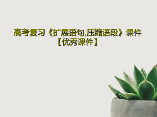 高考复习《扩展语句,压缩语段》课件【优秀课件】共46页文档