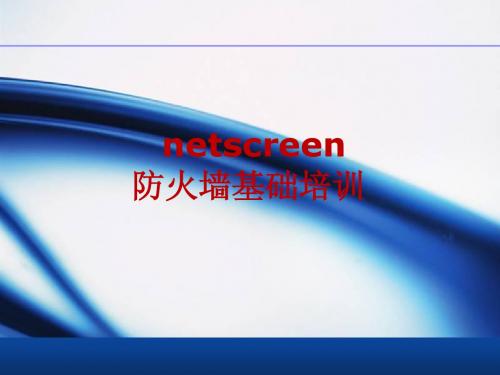 NETSCREEN防火墙操作培训