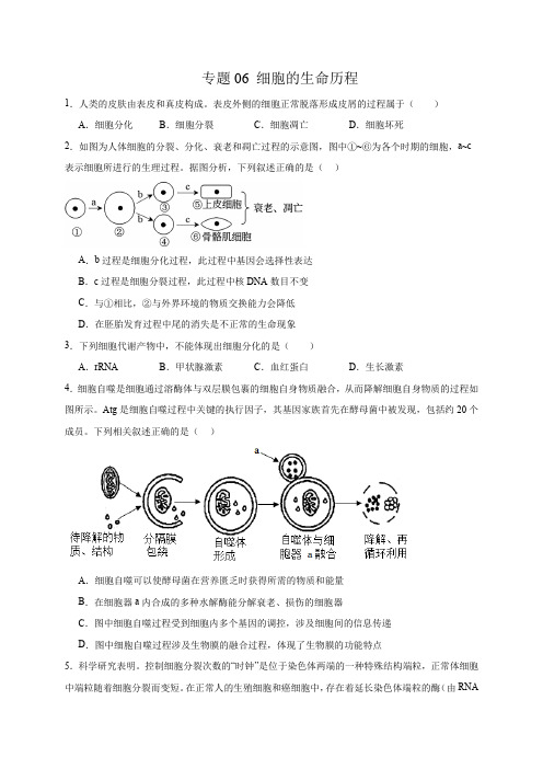 专题06细胞的生命历程(选择题50道)(原卷版)