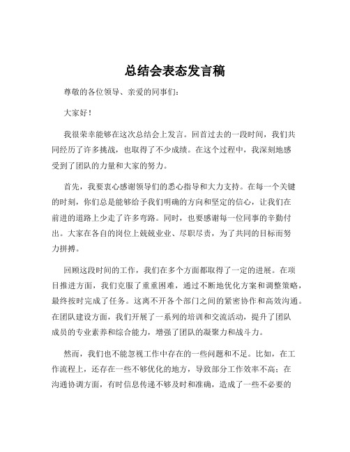 总结会表态发言稿