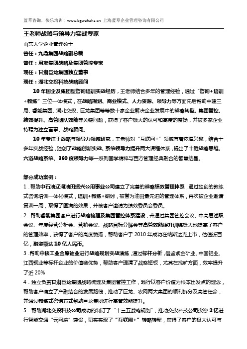 战略与领导力实战专家王老师简介