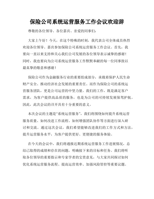 保险公司系统运营服务工作会议欢迎辞