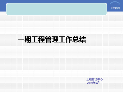 项目阶段性工作评估报告(工程)