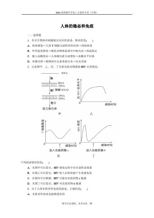 人体的稳态和免疫