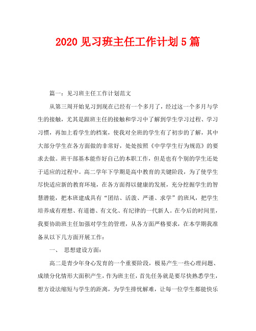 2020见习班主任工作计划5篇