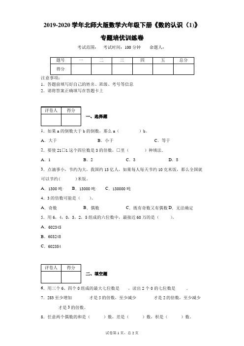 2019-2020学年北师大版数学六年级下册《数的认识(1)》专题培优训练卷-附解析答案