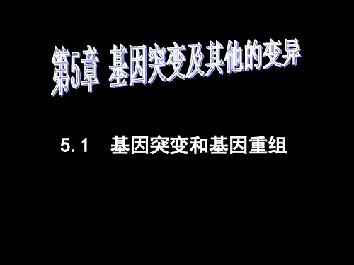 基因突变和基因重组【20页】_107