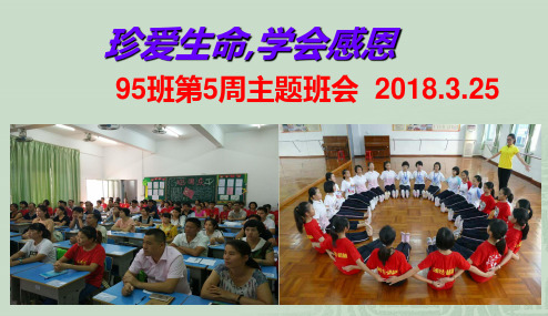 95班学会感恩珍爱生命-广东省佛山市顺德区勒流江义初级中学八年级第五周主题班会课件(共74张PPT)