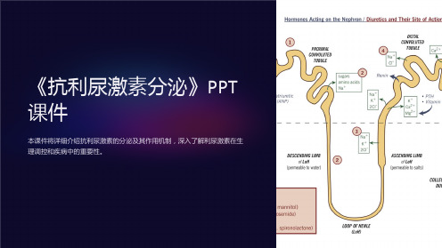 《抗利尿激素分泌》课件