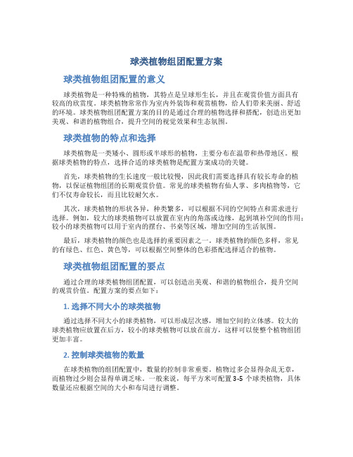 球类植物组团配置方案