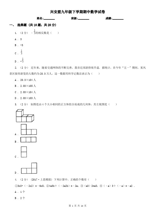 兴安盟九年级下学期期中数学试卷