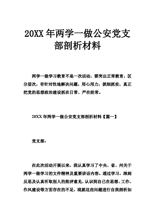 两学一做公安党支部剖析材料